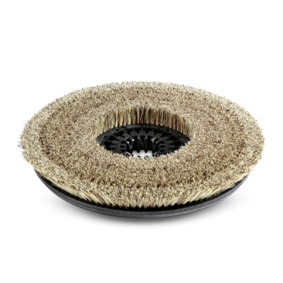 Perie disc  nature  Karcher BD